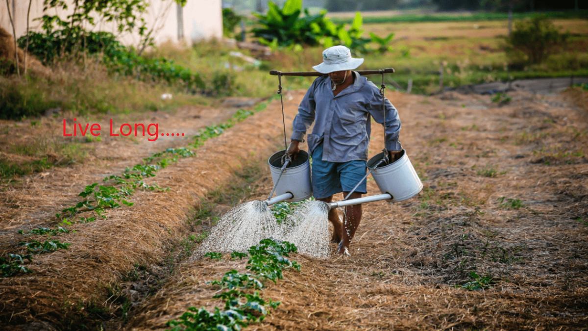 sustainable rural living